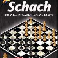 Chess with big pieces