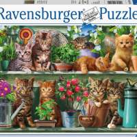 Ravensburger Puzzle Katzen im Regal 500 Teile
